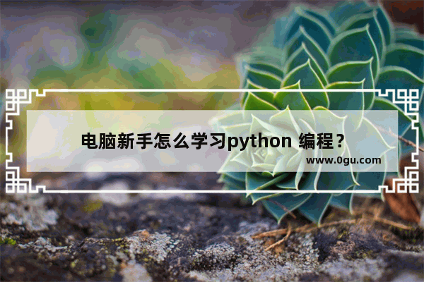 电脑新手怎么学习python 编程？