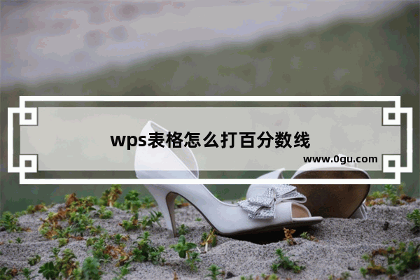 wps表格怎么打百分数线