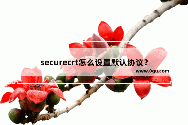 securecrt怎么设置默认协议？