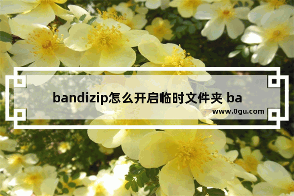 bandizip怎么开启临时文件夹 bandizip设置临时文件夹并切换路径的方法