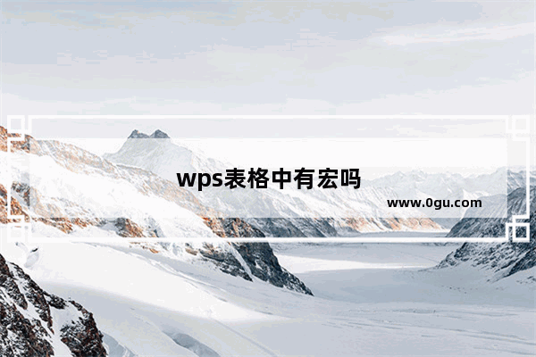 wps表格中有宏吗