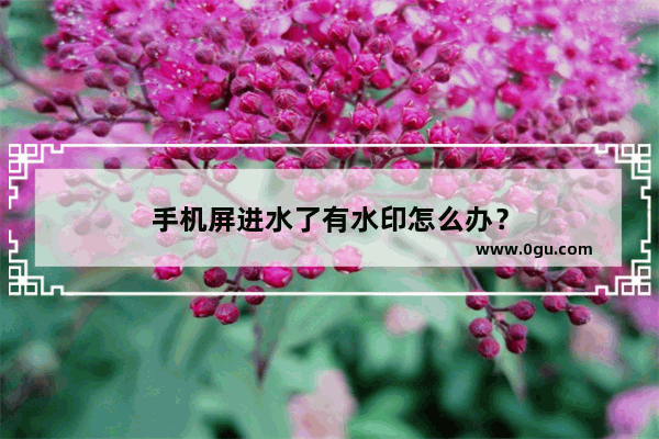 手机屏进水了有水印怎么办？