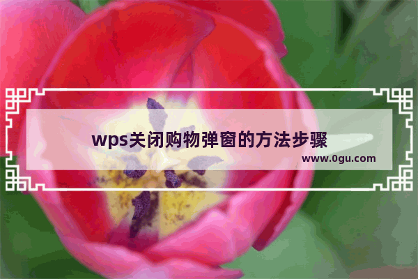 wps关闭购物弹窗的方法步骤