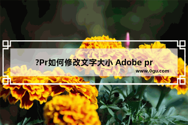 ?Pr如何修改文字大小 Adobe premiere中更改文字大小的方法教程