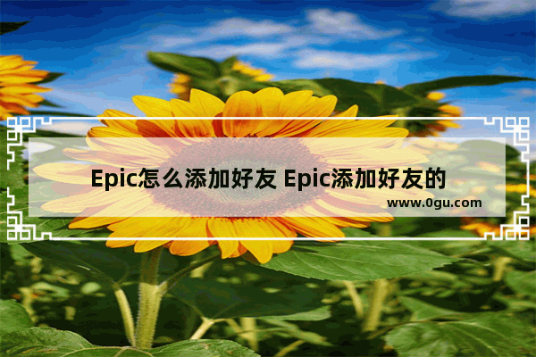 Epic怎么添加好友 Epic添加好友的方法