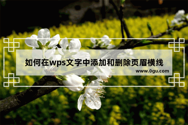 如何在wps文字中添加和删除页眉横线