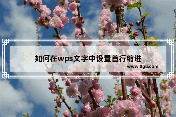 如何在wps文字中设置首行缩进