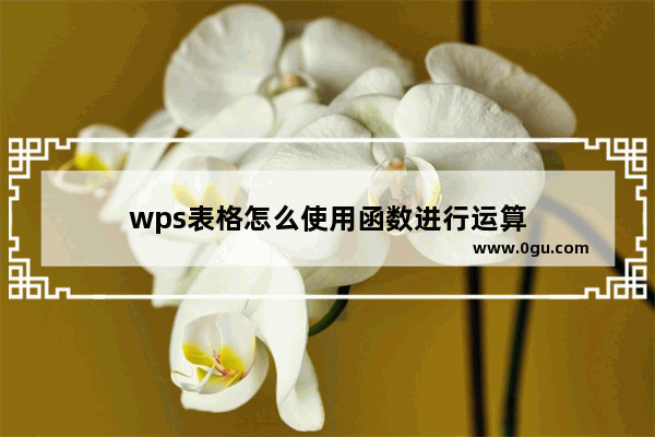 wps表格怎么使用函数进行运算