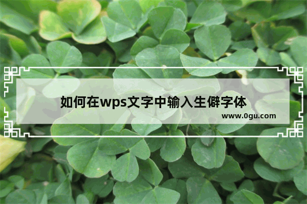 如何在wps文字中输入生僻字体