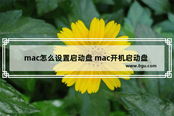 mac怎么设置启动盘 mac开机启动盘 设置