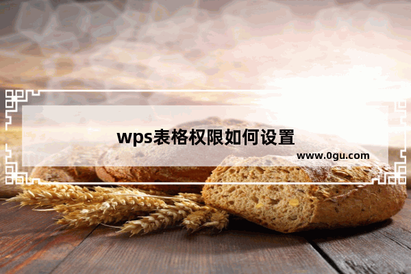 wps表格权限如何设置