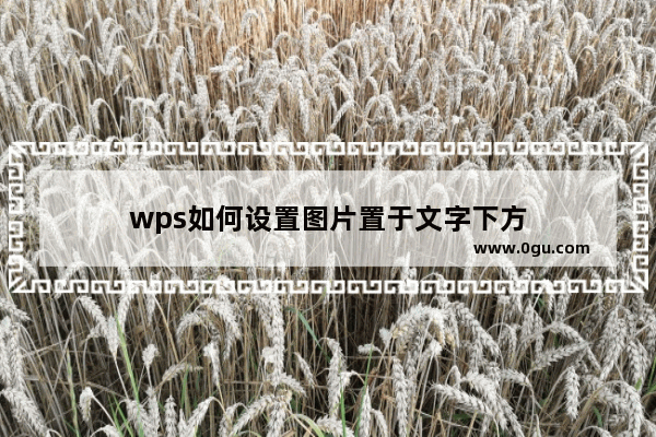 wps如何设置图片置于文字下方