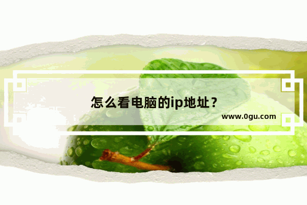 怎么看电脑的ip地址？