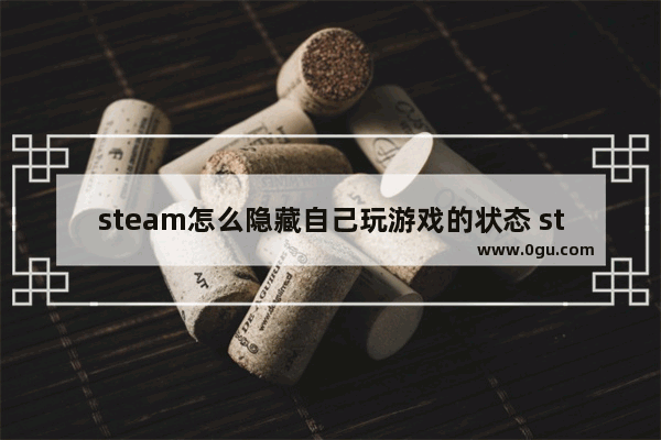 steam怎么隐藏自己玩游戏的状态 steam将自己游戏状态隐身的设置方法