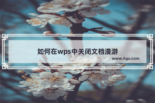 如何在wps中关闭文档漫游