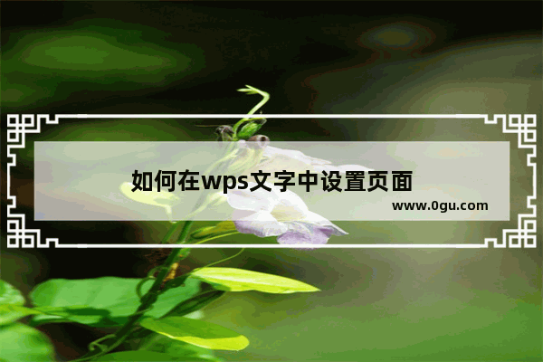 如何在wps文字中设置页面