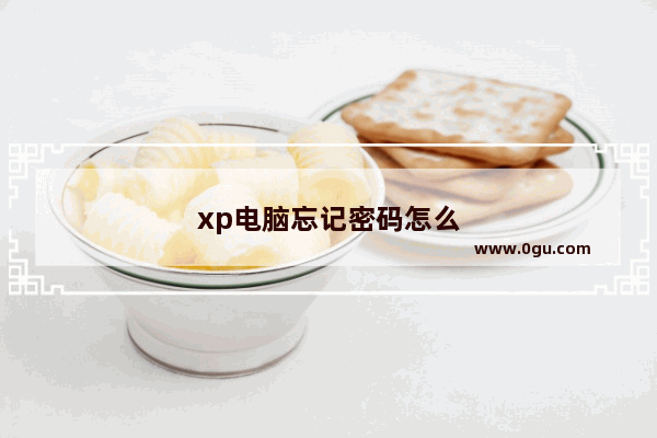 xp电脑忘记密码怎么