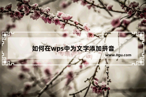 如何在wps中为文字添加拼音