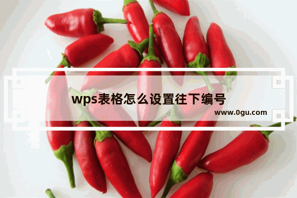 wps表格怎么设置往下编号