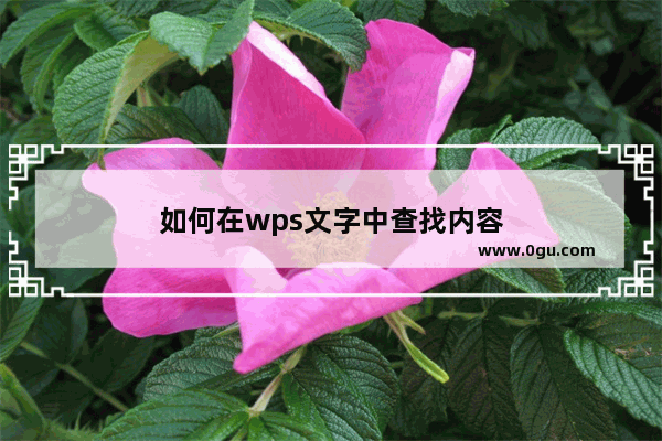 如何在wps文字中查找内容