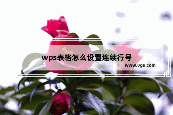 wps表格怎么设置连续行号