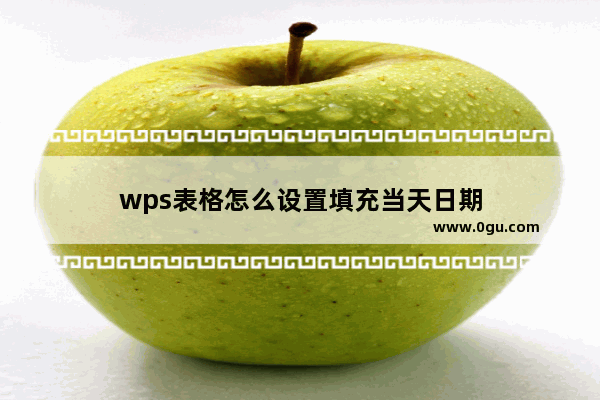 wps表格怎么设置填充当天日期