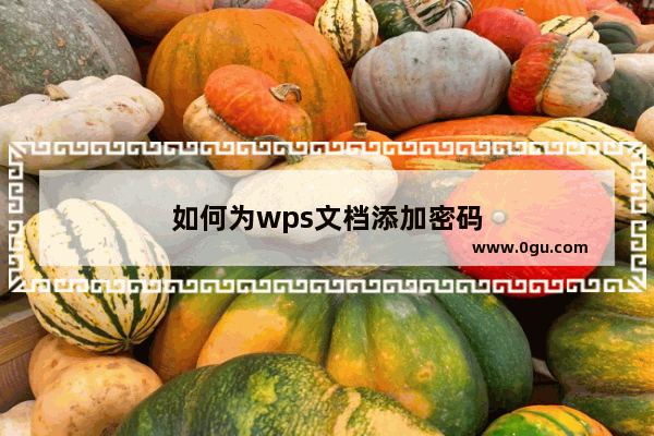 如何为wps文档添加密码