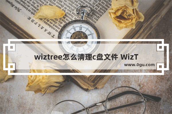 wiztree怎么清理c盘文件 WizTree删除c盘中文件的方法