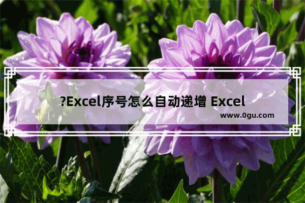 ?Excel序号怎么自动递增 Excel使序号自动排序的方法教程