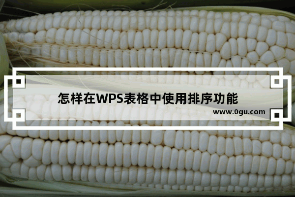 怎样在WPS表格中使用排序功能