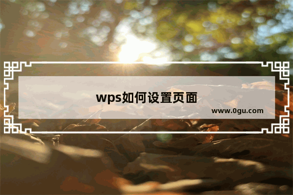 wps如何设置页面