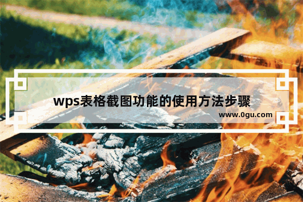 wps表格截图功能的使用方法步骤