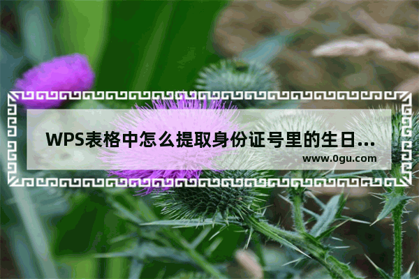 WPS表格中怎么提取身份证号里的生日及性别信息