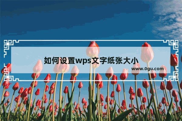 如何设置wps文字纸张大小