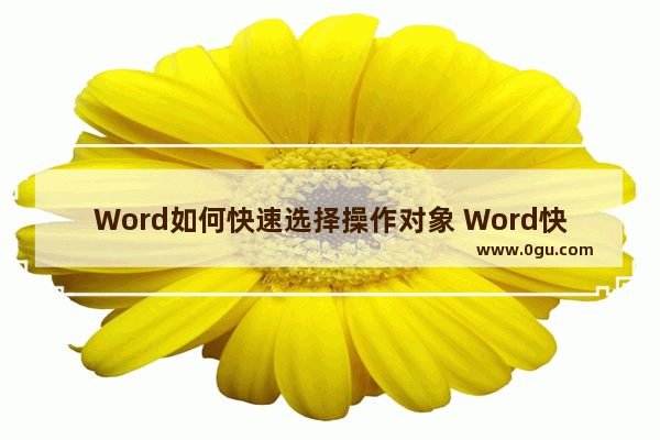 Word如何快速选择操作对象 Word快速选择操作对象的方法