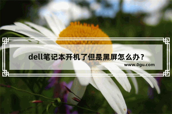 dell笔记本开机了但是黑屏怎么办？