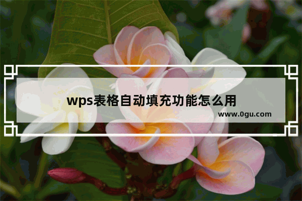 wps表格自动填充功能怎么用