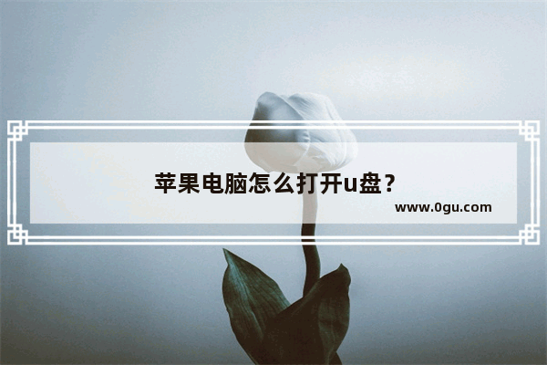 苹果电脑怎么打开u盘？