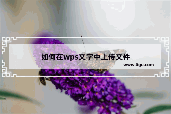 如何在wps文字中上传文件