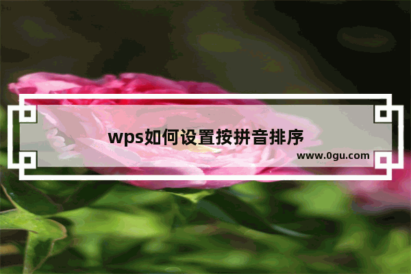 wps如何设置按拼音排序