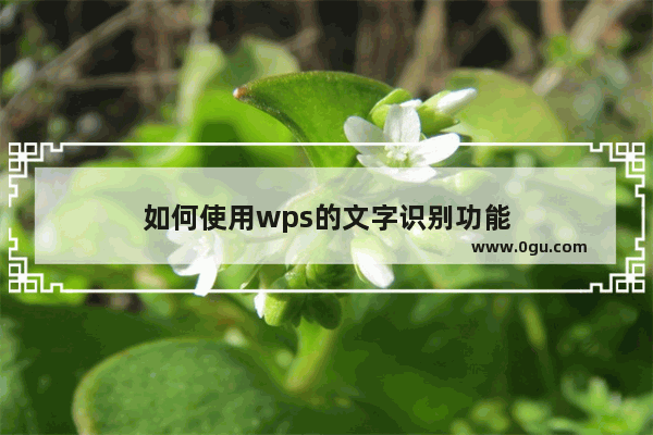 如何使用wps的文字识别功能