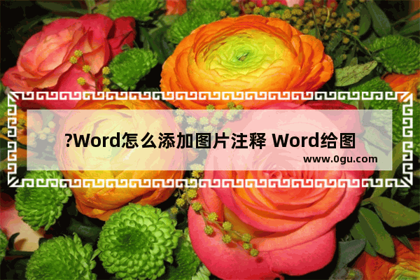 ?Word怎么添加图片注释 Word给图片添加图注的方法教程