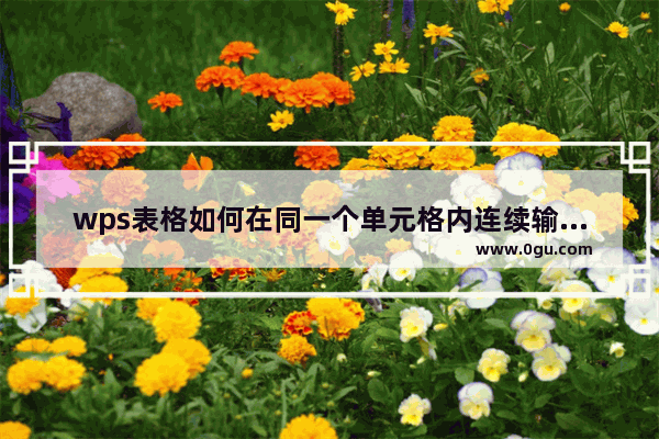 wps表格如何在同一个单元格内连续输入多个数值 wps在同一个单元格内输入多个值的方法