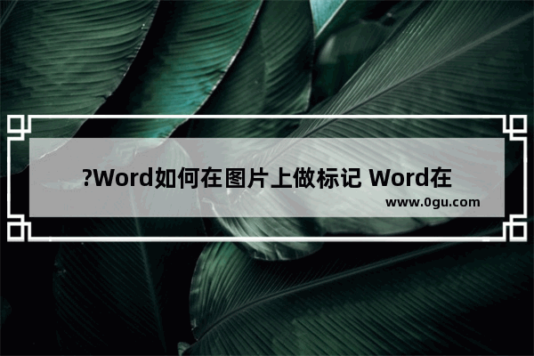 ?Word如何在图片上做标记 Word在图片上添加标注的方法教程