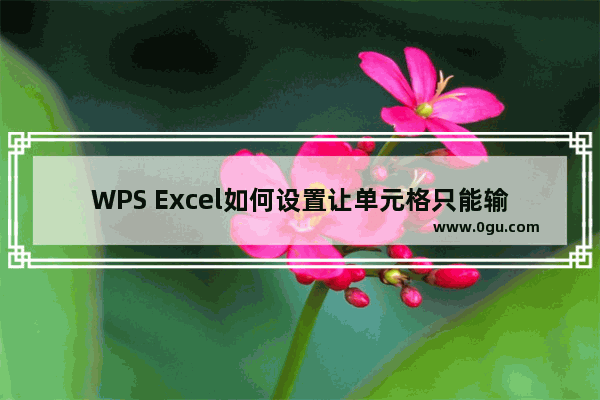 WPS Excel如何设置让单元格只能输入18位身份证号码 WPS Excel设置单元格中只能输入18位身份证号码的方法