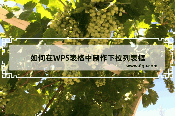 如何在WPS表格中制作下拉列表框