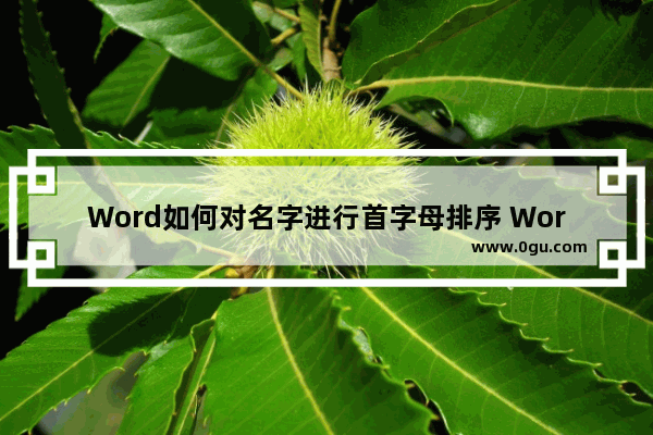 Word如何对名字进行首字母排序 Word对名字进行首字母排序的方法