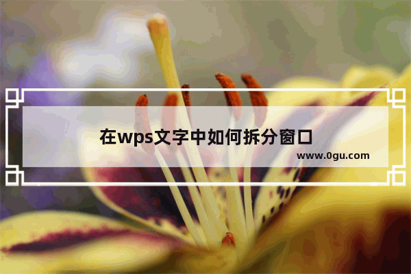 在wps文字中如何拆分窗口