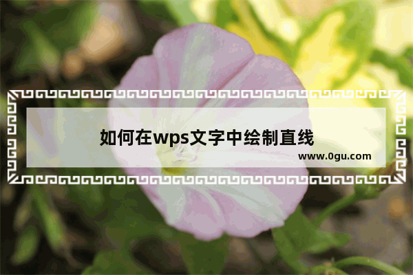 如何在wps文字中绘制直线