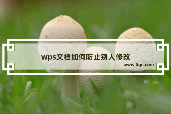 wps文档如何防止别人修改